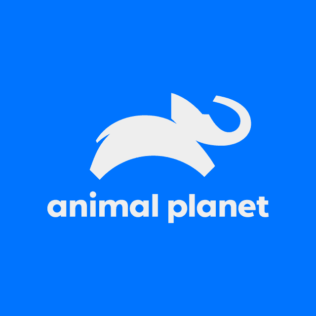 Animal Planet